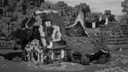 Bull Forge